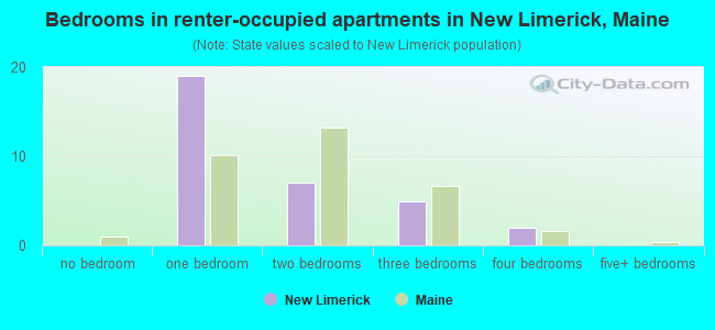 Bedrooms in renter-occupied apartments in New Limerick, Maine