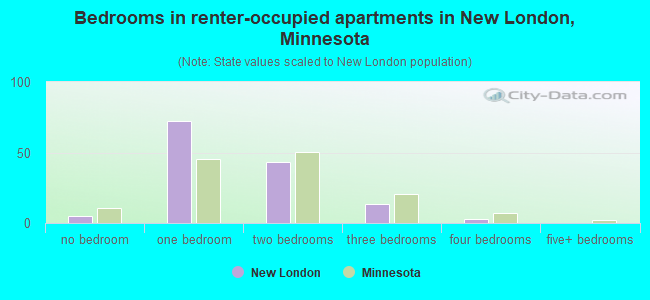 Bedrooms in renter-occupied apartments in New London, Minnesota