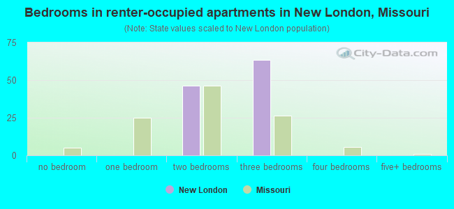 Bedrooms in renter-occupied apartments in New London, Missouri