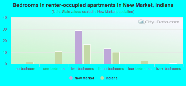 Bedrooms in renter-occupied apartments in New Market, Indiana