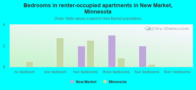 Bedrooms in renter-occupied apartments in New Market, Minnesota