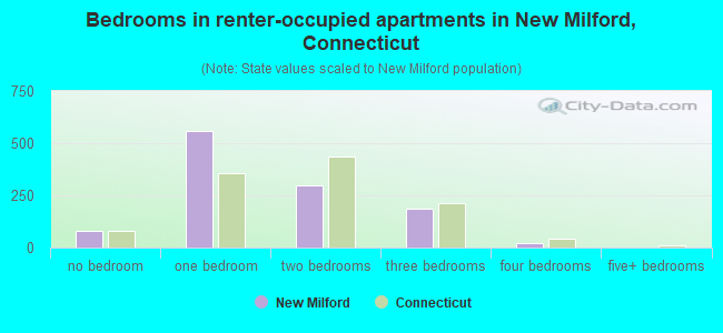 Bedrooms in renter-occupied apartments in New Milford, Connecticut