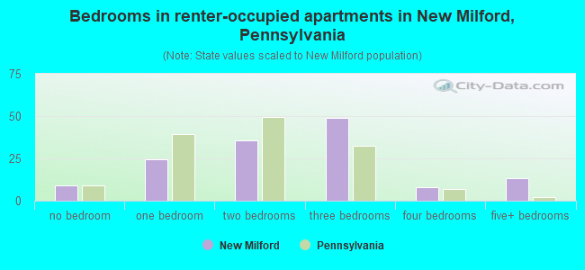 Bedrooms in renter-occupied apartments in New Milford, Pennsylvania