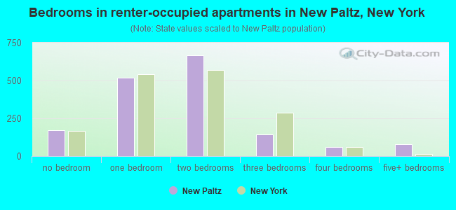 Bedrooms in renter-occupied apartments in New Paltz, New York