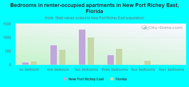 Bedrooms in renter-occupied apartments in New Port Richey East, Florida