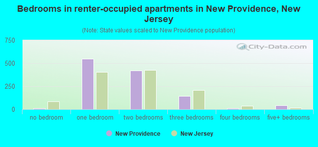 Bedrooms in renter-occupied apartments in New Providence, New Jersey