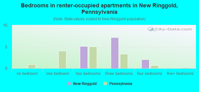 Bedrooms in renter-occupied apartments in New Ringgold, Pennsylvania