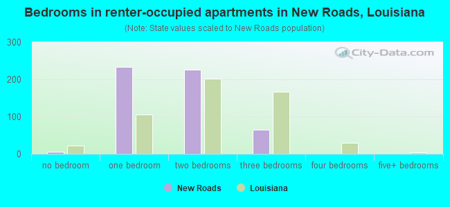 Bedrooms in renter-occupied apartments in New Roads, Louisiana