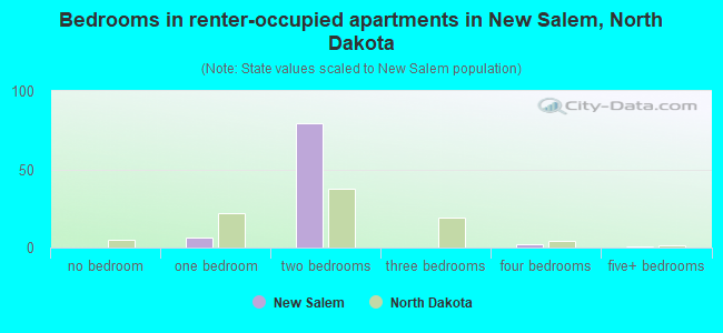 Bedrooms in renter-occupied apartments in New Salem, North Dakota
