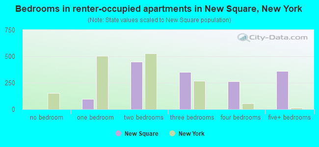 Bedrooms in renter-occupied apartments in New Square, New York