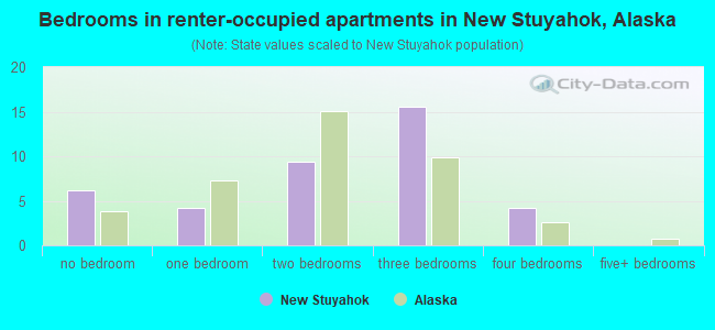 Bedrooms in renter-occupied apartments in New Stuyahok, Alaska