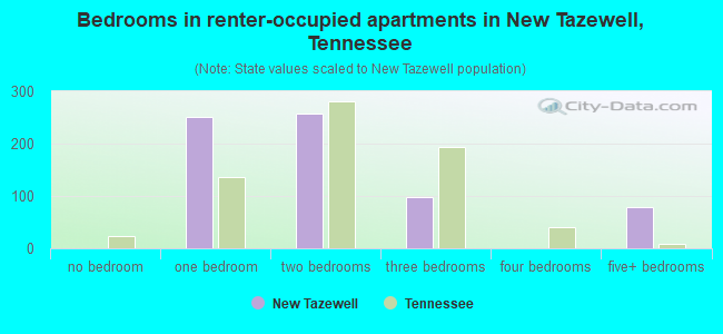 Bedrooms in renter-occupied apartments in New Tazewell, Tennessee
