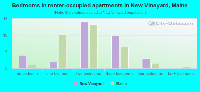 Bedrooms in renter-occupied apartments in New Vineyard, Maine