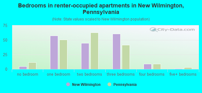 Bedrooms in renter-occupied apartments in New Wilmington, Pennsylvania