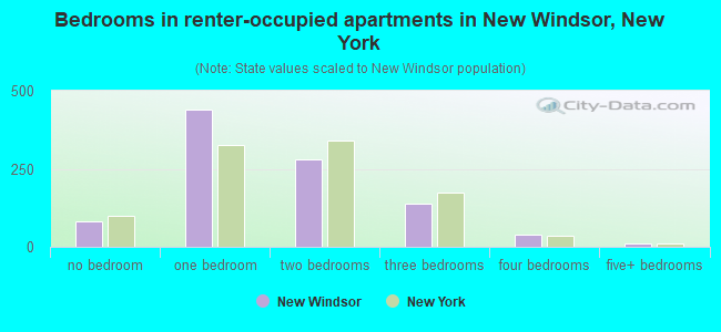 Bedrooms in renter-occupied apartments in New Windsor, New York