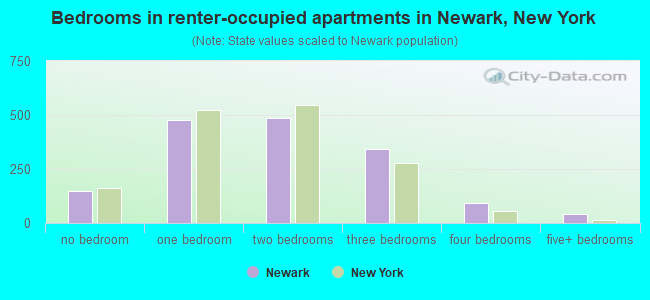Bedrooms in renter-occupied apartments in Newark, New York