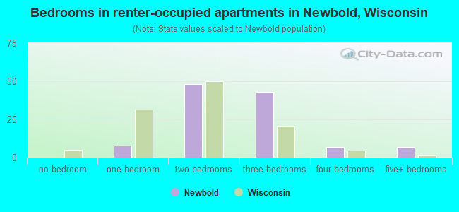 Bedrooms in renter-occupied apartments in Newbold, Wisconsin