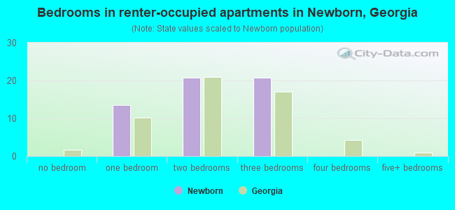 Bedrooms in renter-occupied apartments in Newborn, Georgia