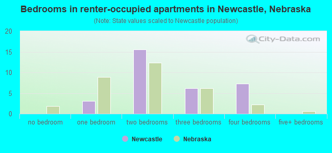 Bedrooms in renter-occupied apartments in Newcastle, Nebraska