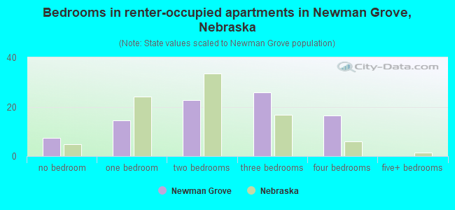 Bedrooms in renter-occupied apartments in Newman Grove, Nebraska