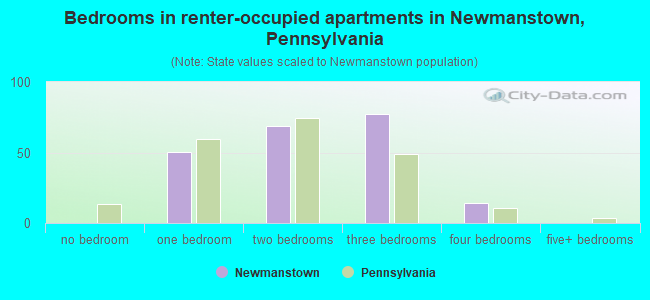 Bedrooms in renter-occupied apartments in Newmanstown, Pennsylvania