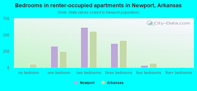 Bedrooms in renter-occupied apartments in Newport, Arkansas