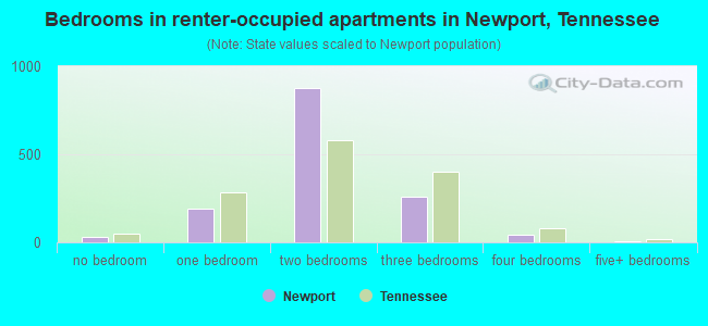 Bedrooms in renter-occupied apartments in Newport, Tennessee