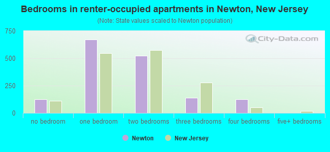 Bedrooms in renter-occupied apartments in Newton, New Jersey