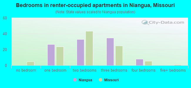 Bedrooms in renter-occupied apartments in Niangua, Missouri