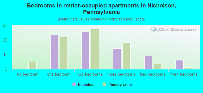 Bedrooms in renter-occupied apartments in Nicholson, Pennsylvania