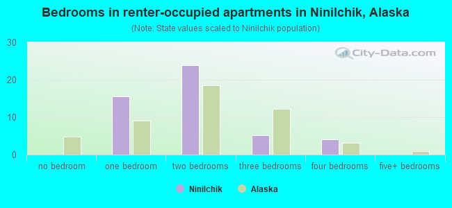 Bedrooms in renter-occupied apartments in Ninilchik, Alaska