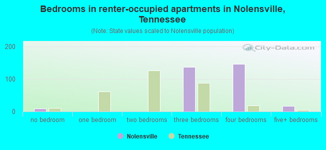 Bedrooms in renter-occupied apartments in Nolensville, Tennessee