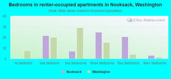 Bedrooms in renter-occupied apartments in Nooksack, Washington