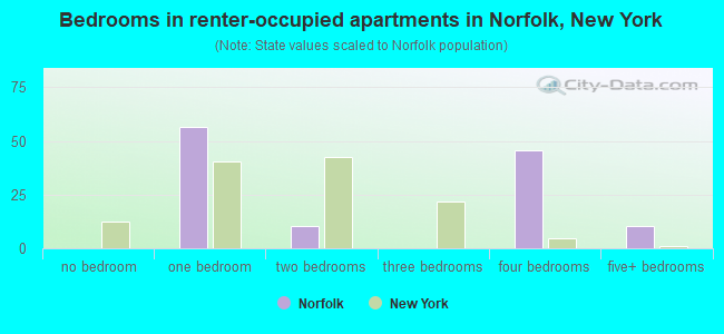 Bedrooms in renter-occupied apartments in Norfolk, New York