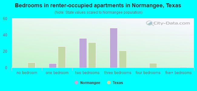 Bedrooms in renter-occupied apartments in Normangee, Texas