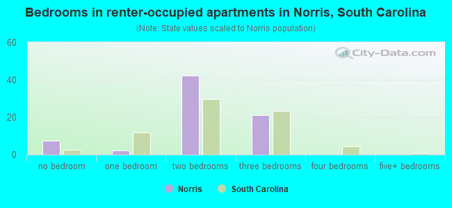 Bedrooms in renter-occupied apartments in Norris, South Carolina