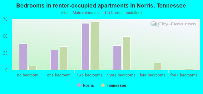 Bedrooms in renter-occupied apartments in Norris, Tennessee