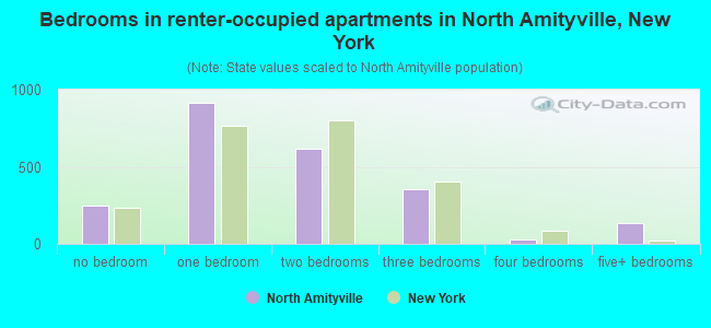 Bedrooms in renter-occupied apartments in North Amityville, New York