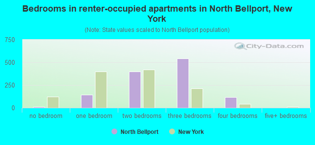 Bedrooms in renter-occupied apartments in North Bellport, New York