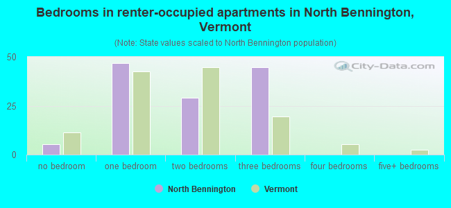 Bedrooms in renter-occupied apartments in North Bennington, Vermont