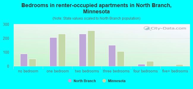 Bedrooms in renter-occupied apartments in North Branch, Minnesota