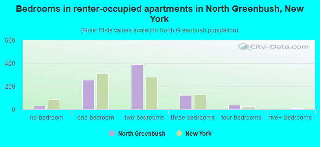 Bedrooms in renter-occupied apartments in North Greenbush, New York