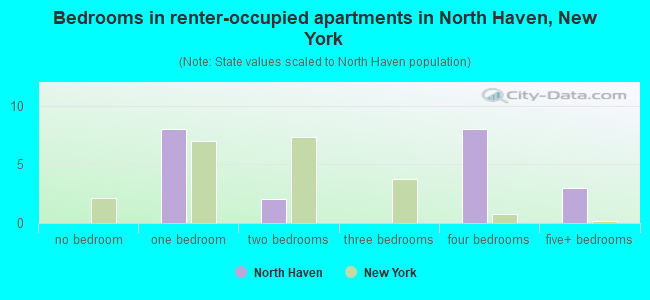 Bedrooms in renter-occupied apartments in North Haven, New York