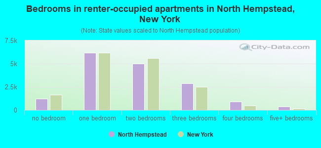 Bedrooms in renter-occupied apartments in North Hempstead, New York