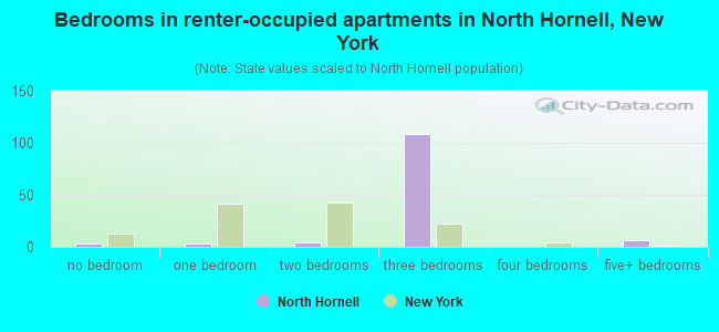 Bedrooms in renter-occupied apartments in North Hornell, New York