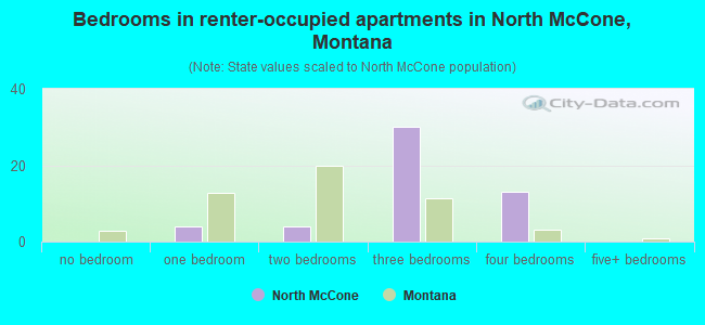 Bedrooms in renter-occupied apartments in North McCone, Montana