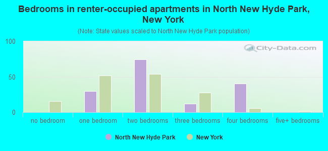 Bedrooms in renter-occupied apartments in North New Hyde Park, New York