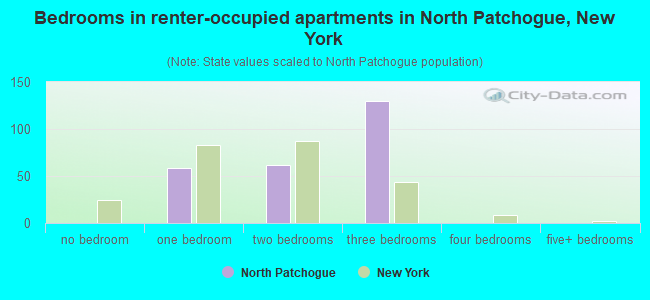 Bedrooms in renter-occupied apartments in North Patchogue, New York