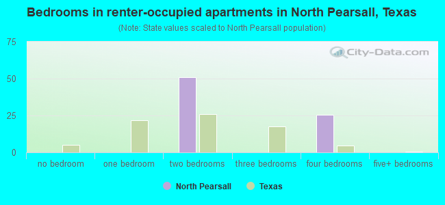 Bedrooms in renter-occupied apartments in North Pearsall, Texas