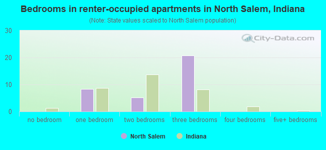 Bedrooms in renter-occupied apartments in North Salem, Indiana